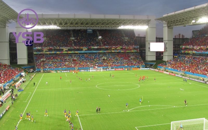World Cup: Cược đỉnh cao, dự đoán kết quả chính xác 4 World Cup